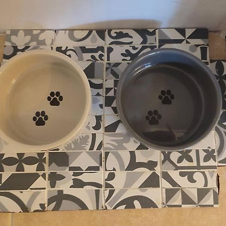 Casa Tatas Precioso Piso Recien Reformado Daire El Barraco Dış mekan fotoğraf